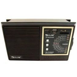 Портативний радіоприймач Golon RX-9933 з акумулятором, USB, SD, FM радіо