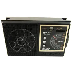 Радиоприемник Golon RX - 98 UAR (FM/ USB / SD) PR4