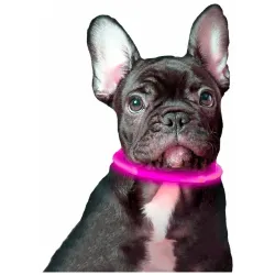 LED нашийник для собак універсальний з регульованою довжиною 10-70 см ∙ USB зарядка ∙ 3 режими свічення ошийника
