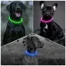 LED нашийник для собак універсальний з регульованою довжиною 10-70 см ∙ USB зарядка ∙ 3 режими свічення ошийника LED нашийник для собак універсальний з регульованою довжиною 10-70 см ∙ USB зарядка ∙ 3 режими свічення ошийника