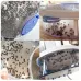 USB пастка для комах Electric Fly Trap Mosquitoes ∙ Приманка – знищувач комарів, мух та ґедзів