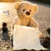 Дитяча інтерактивна іграшка Ведмедик Пікабу Peekaboo Bear Brown, 30 см Дитяча інтерактивна іграшка Ведмедик Пікабу Peekaboo Bear Brown, 30 см