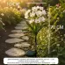 Садовий світильник 26X-105 «Квіти Білі» набір 2 шт • LED світильники 26X-105 на сонячній батареї для саду, клумби та доріжок, 2 шт Садовий світильник 26X-105 «Квіти Білі» набір 2 шт • LED світильники 26X-105 на сонячній батареї для саду, клумби та доріжок, 2 шт