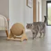 Когтеточка KAT-04 з круглою канатною сферою на основі • підлогова модель для котів, поверхня для заточування кігтів, для квартири та дому Когтеточка KAT-04 з круглою канатною сферою на основі • підлогова модель для котів, поверхня для заточування кігтів, для квартири та дому
